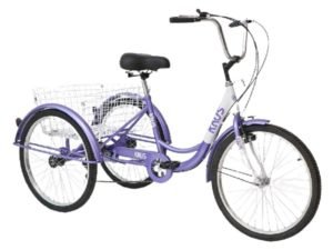 purpura1-removebg-preview-compressed