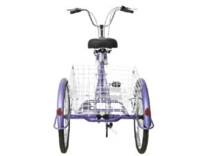 purpura2-removebg-preview-compressed