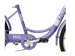 purpura5-removebg-preview-compressed