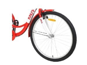 rojo4-removebg-preview-compressed