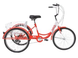 rojo5-removebg-preview-compressed