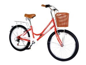 1000750 para paginas bicis (11)