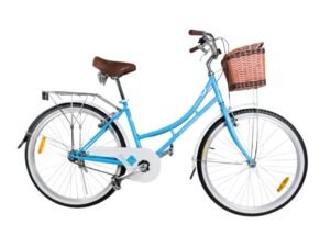 1000750 para paginas bicis (11)