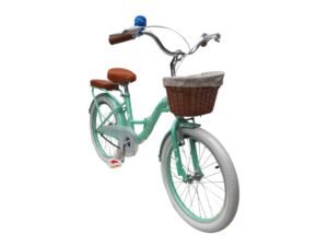 1000750 para paginas bicis (21)