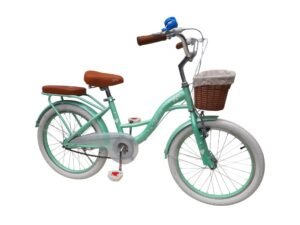 1000750 para paginas bicis (23)