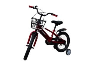 1000750 para paginas bicis (75)