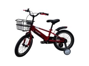 1000750 para paginas bicis (76)