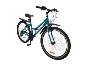 1000750 para paginas bicis (8)