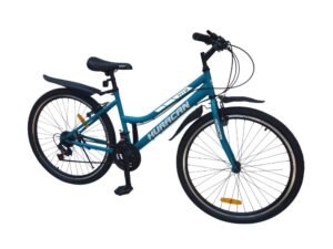 1000750 para paginas bicis (9)