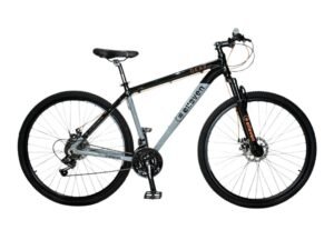 bicicleta montañera aro 29 elleven gris